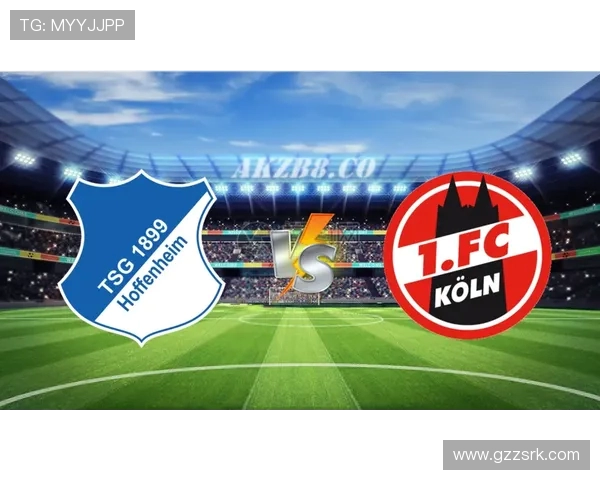 2012年德甲球队市值排行与投资分析